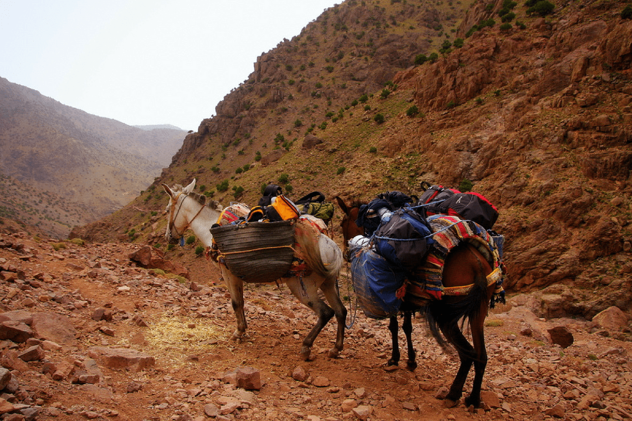 5-Hikes-You-Should-Take-in-Morocco-COVER